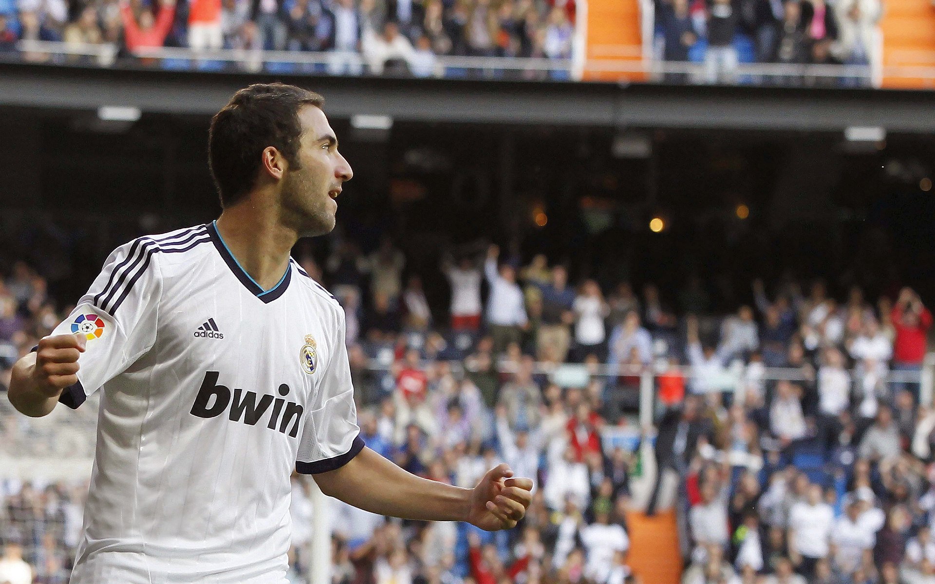 F1圣保罗大奖赛即将开启!维斯塔潘卫冕,勒克莱尔喜迎双喜,圣保罗对弗拉门戈直播